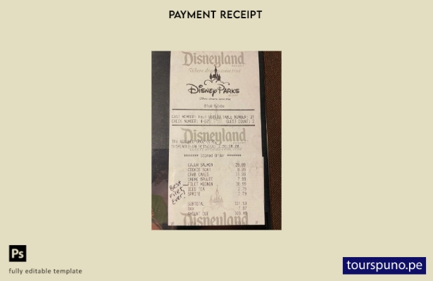 Plantilla de cheque de pago del parque Disneyland lista para imprimir